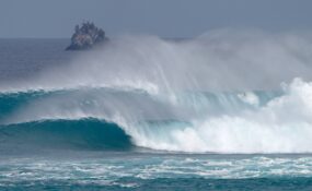 El Origen del Principio… Galapagos