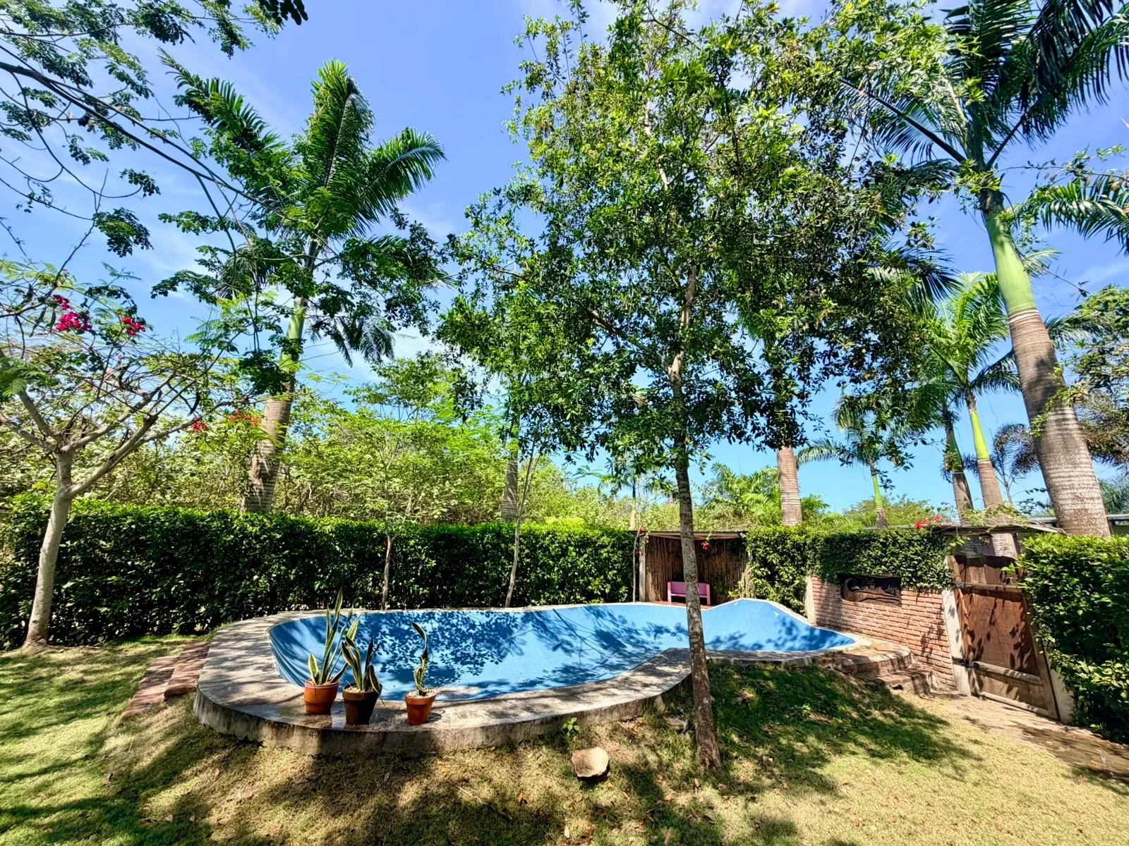 Casa Jaguarundi gallery photo 1